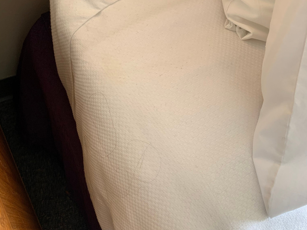 University Union Hotel主图