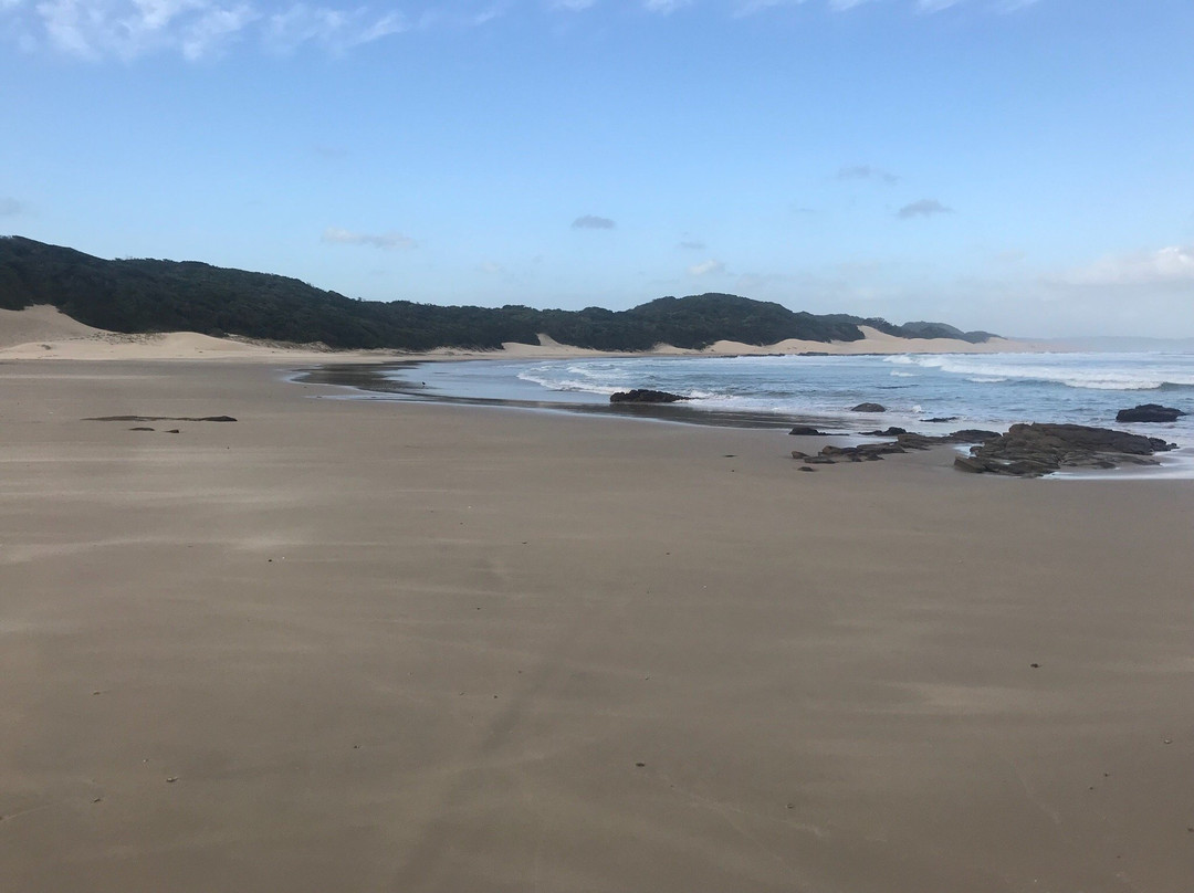 Milkwood on Main主图