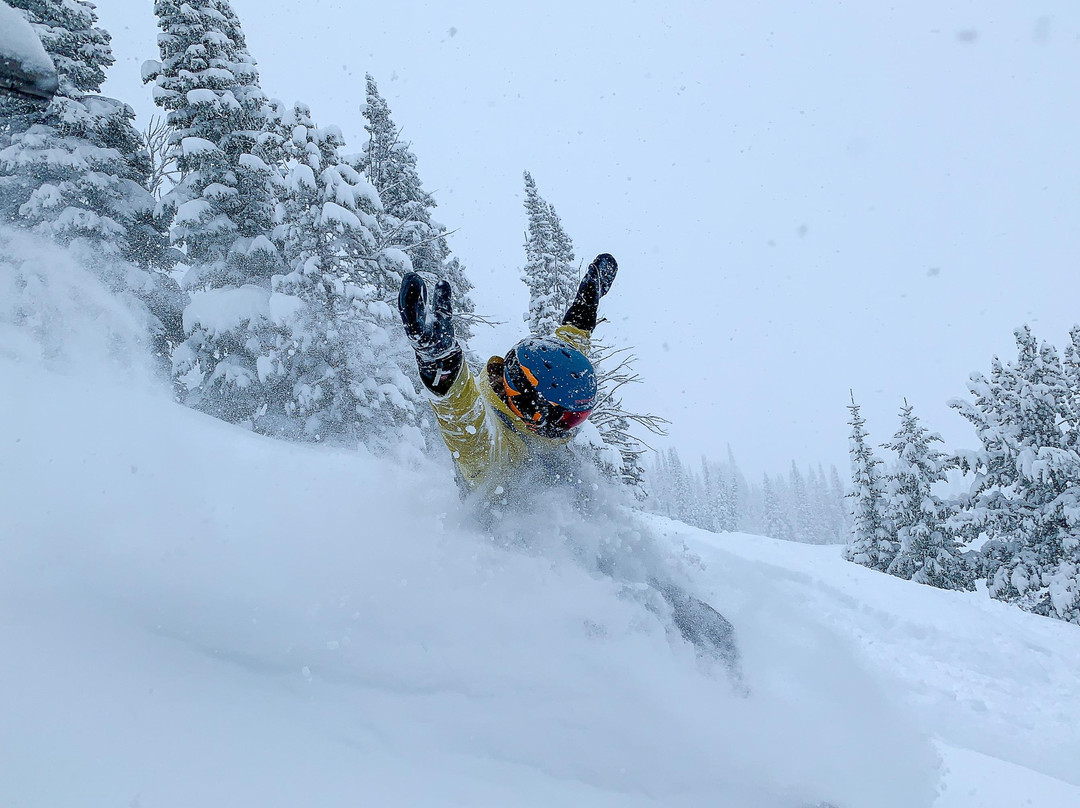 First Stop Board Barn | Ski, Snowboard, Bike, and Paddle Shop-基灵顿必去景点