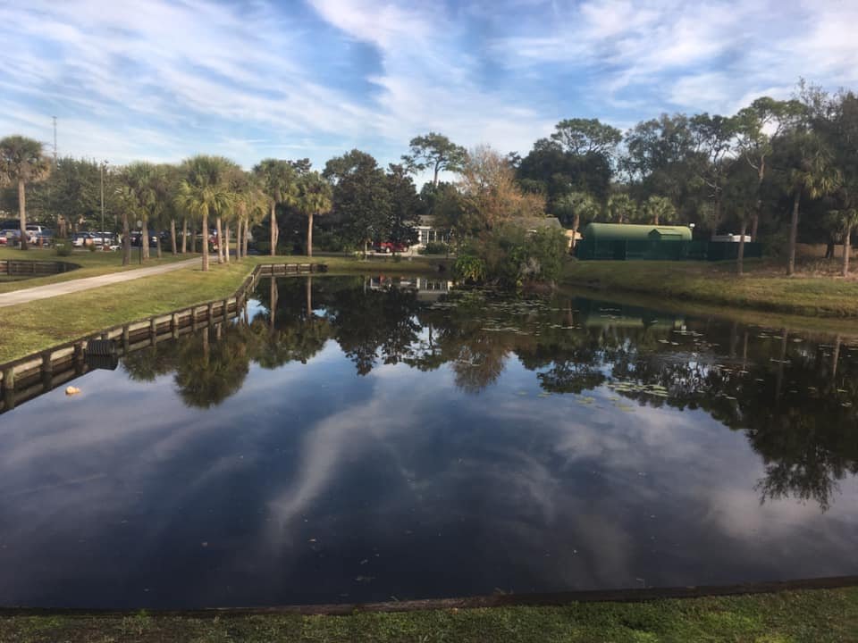 Paradise Lakes Resort-酒店景观