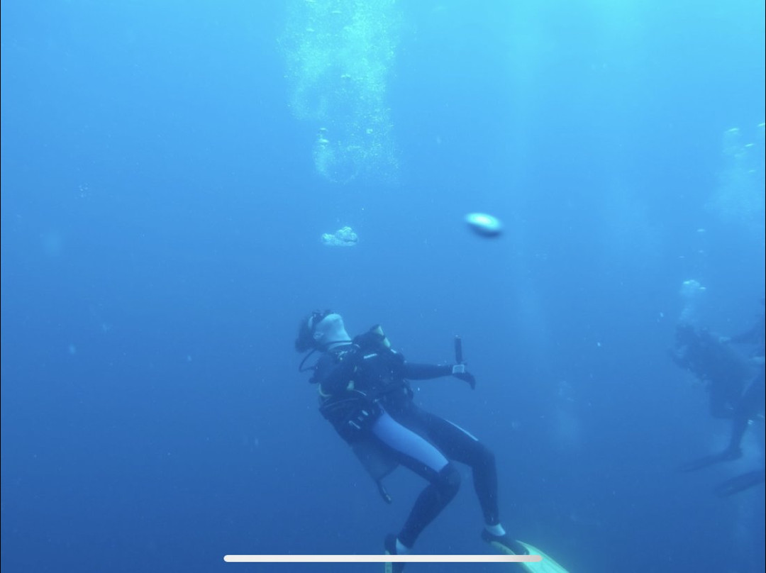 Deep Blue Diving Adventures景点图片