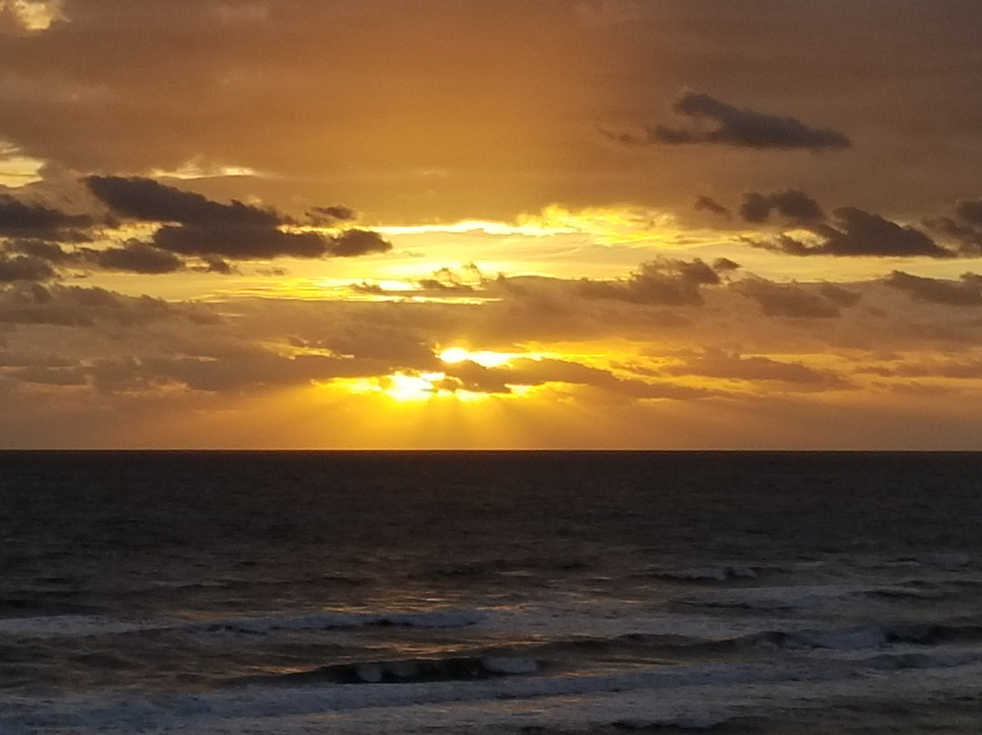 Tropical Winds Oceanfront Hotel主图