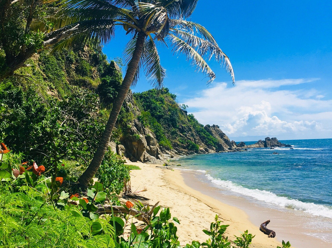 Punta Yeguas Beach景点图片