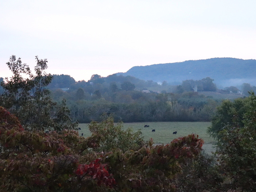 The Pines Country Inn主图