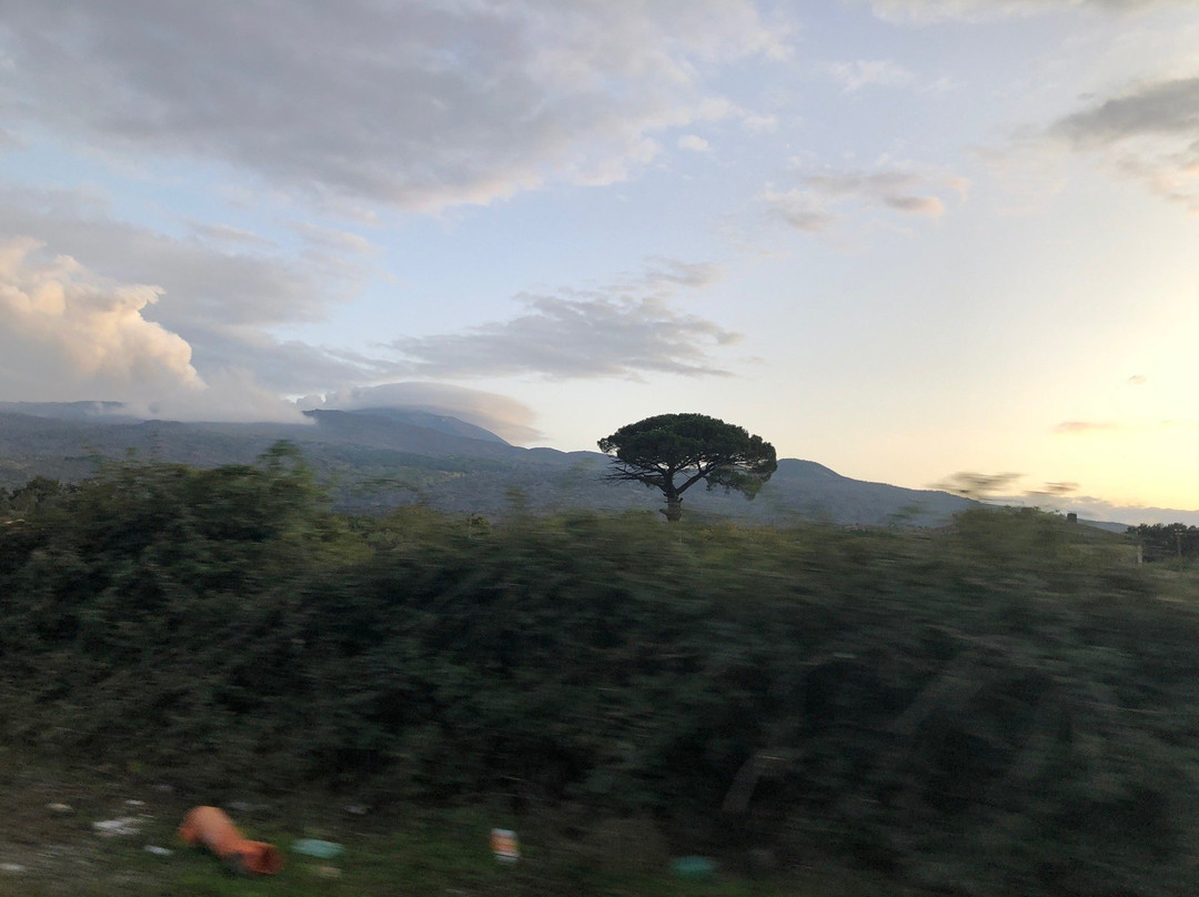 Private Tours Sicily & South of Italy景点图片