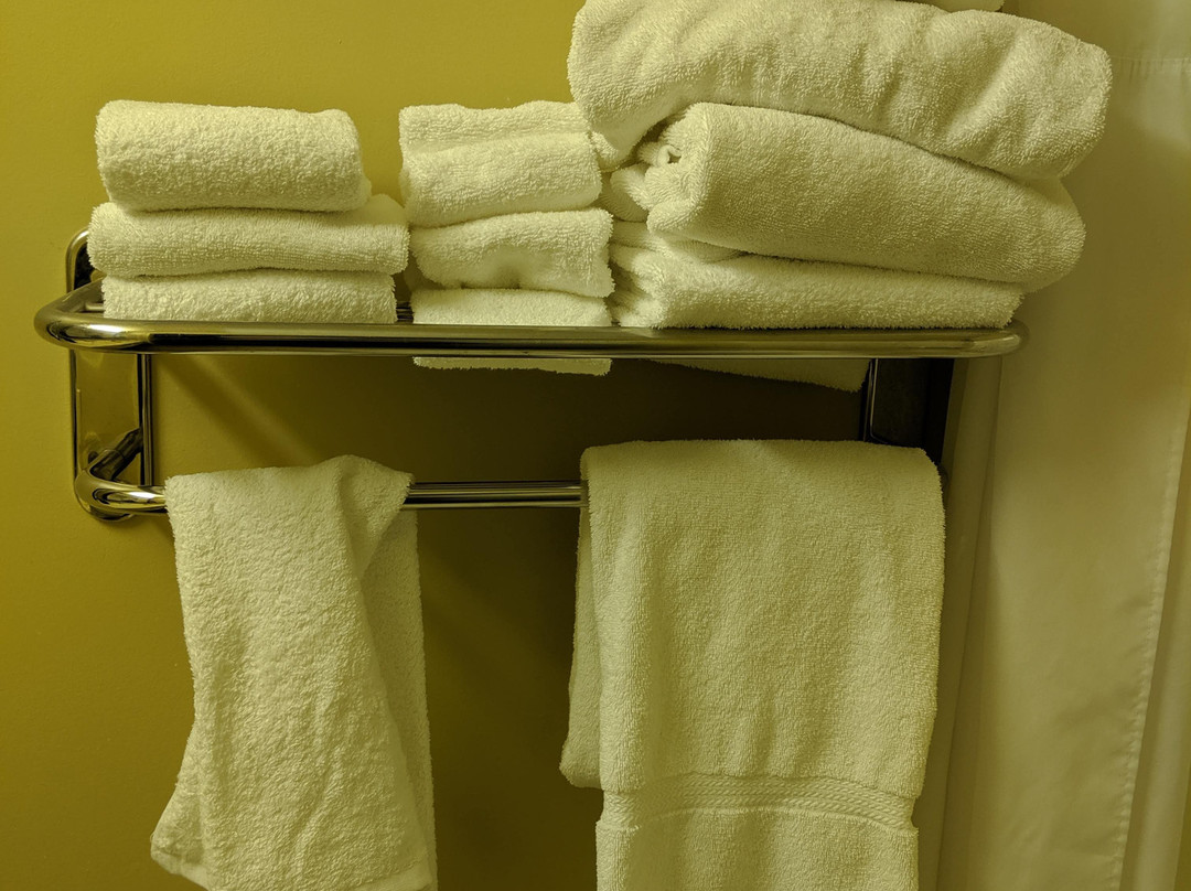 Country Inn & Suites by Radisson, Rochester South, MN主图