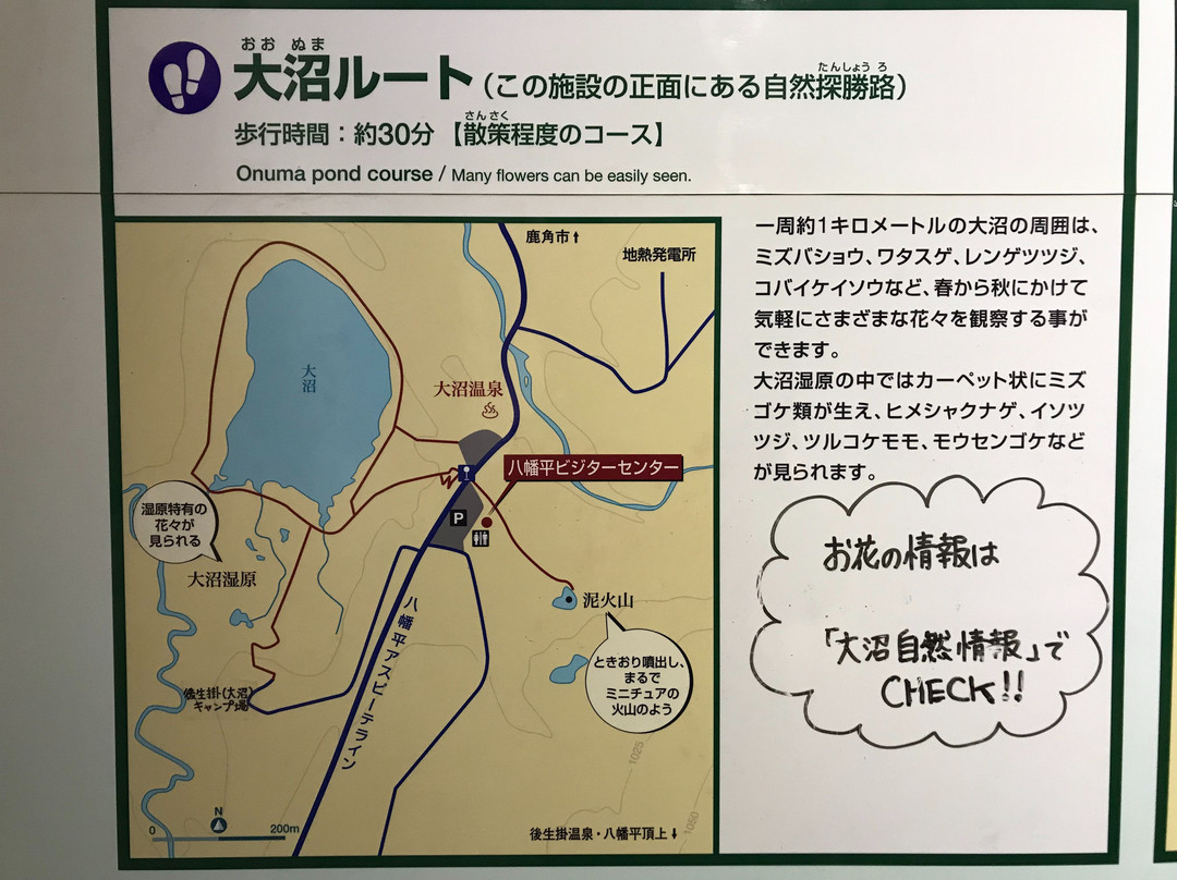 Hachimantai Visitor Center-鹿角市必去景点