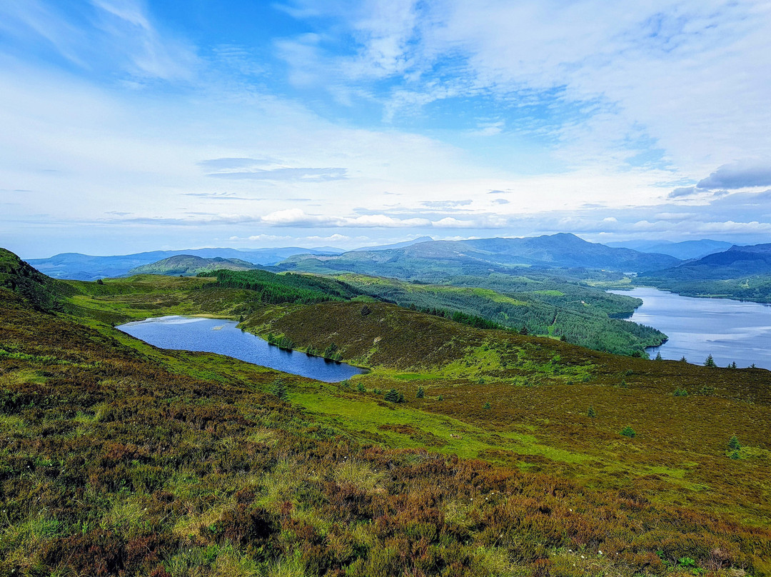 Westcot Bed & Breakfast主图