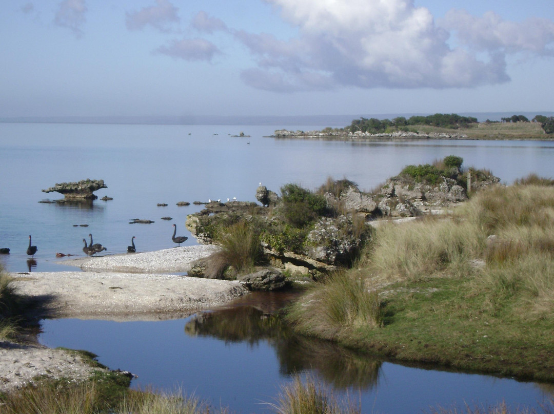 Tourism Chatham Islands景点图片
