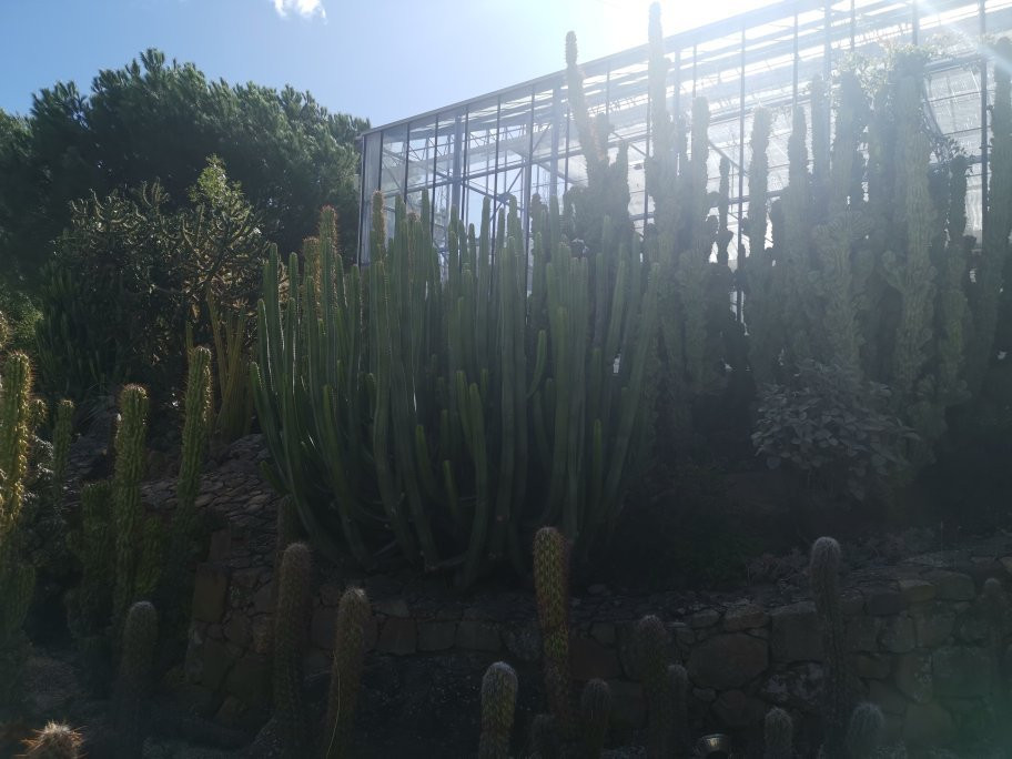 Botanical Garden of Cacti and Succulent Plants 'Mora i Bravard' of Casarabonela景点图片