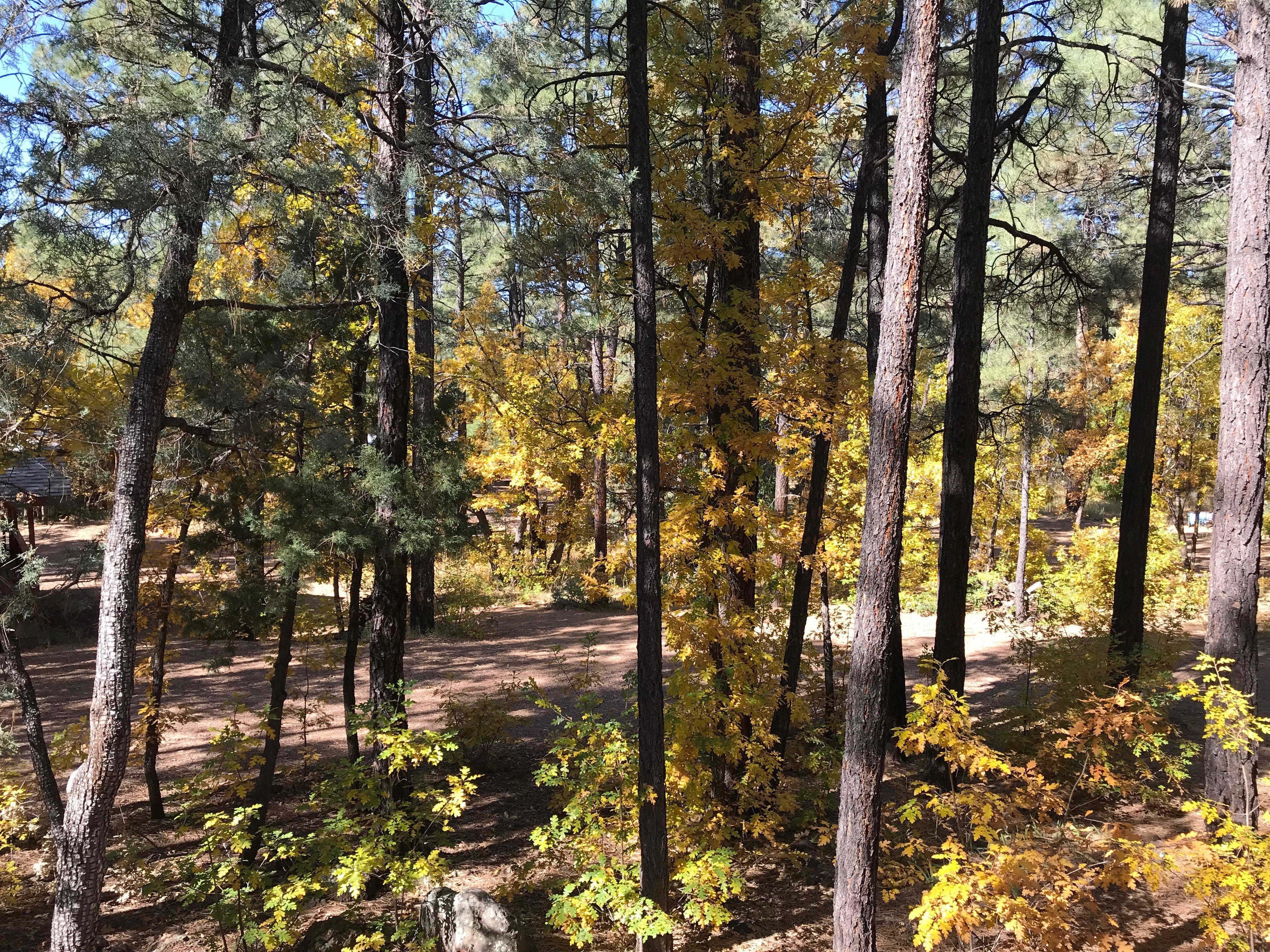 Northwoods Cabins-浴室