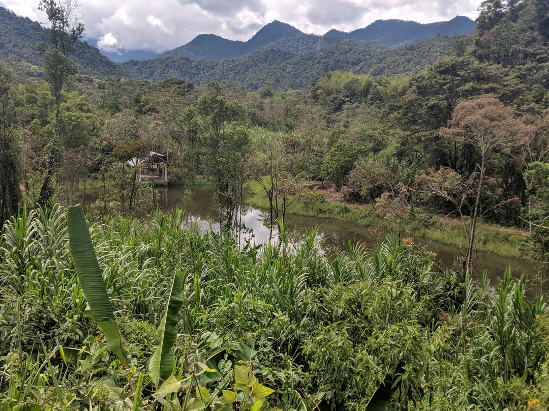 Mindo Coffee Lodge Spa主图