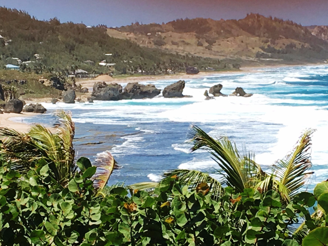 Williams Tours Barbados-布里奇顿必去景点