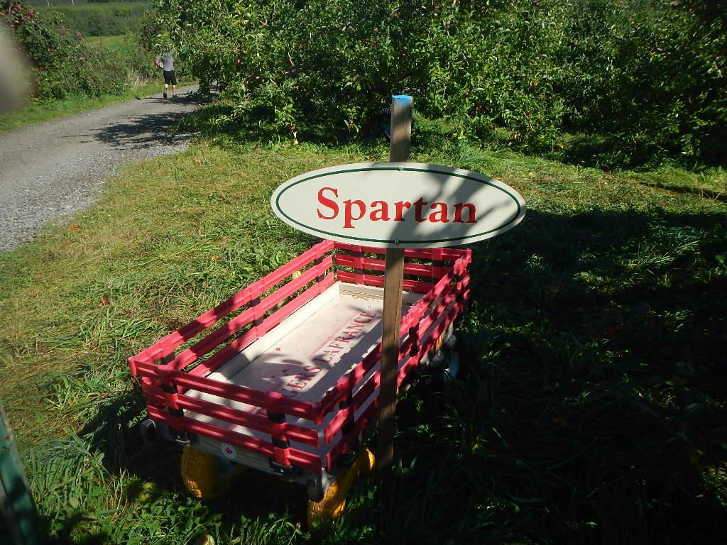 Saint-Joseph-du-Lac旅游景点-Les Vergers Lafrance