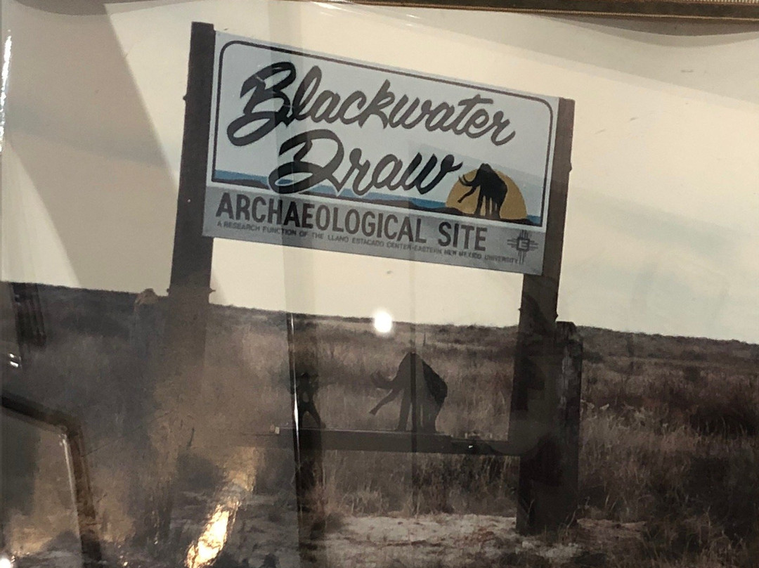 Blackwater Draw Museum景点图片