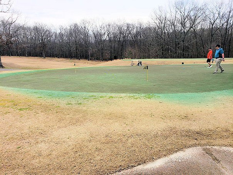 Montgomery Bell Golf Course-Burns必去景点