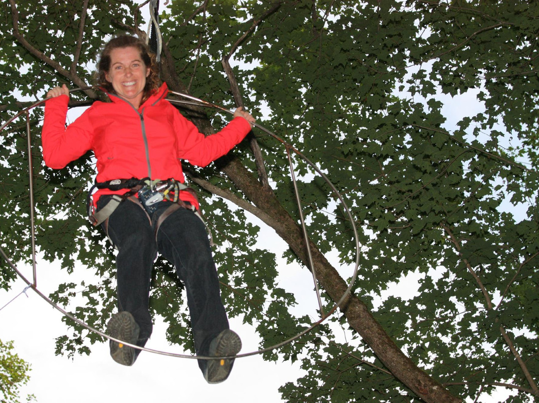 Arbrasuc obstacle course景点图片