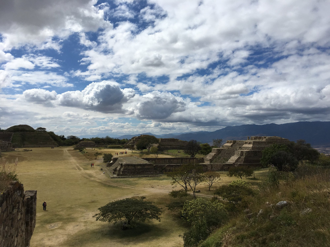Discover Oaxaca Tours-瓦哈卡必去景点