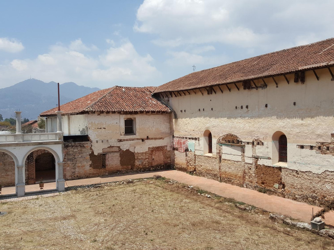 Museo del Ámbar景点图片