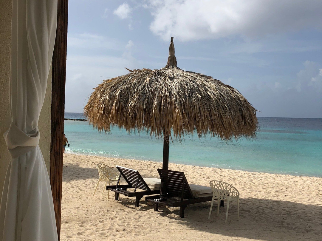 Moomba B&B Ocean Front Hostel主图