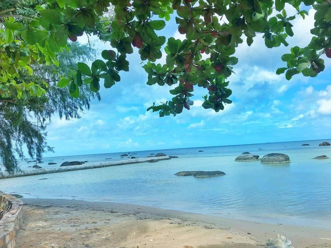 Cay Sao Phu Quoc主图