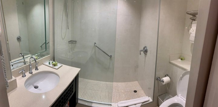 The Jamaica Pegasus Hotel主图