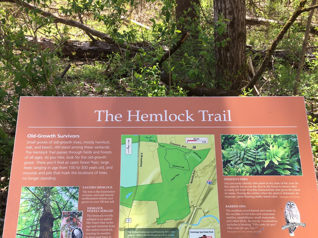 Hemlock Trail Area景点图片