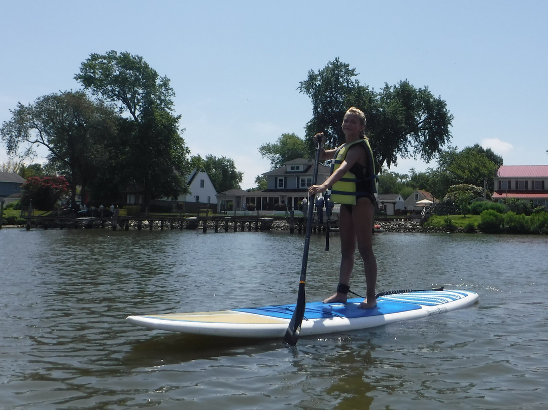 Chesapeake Paddle Sports景点图片