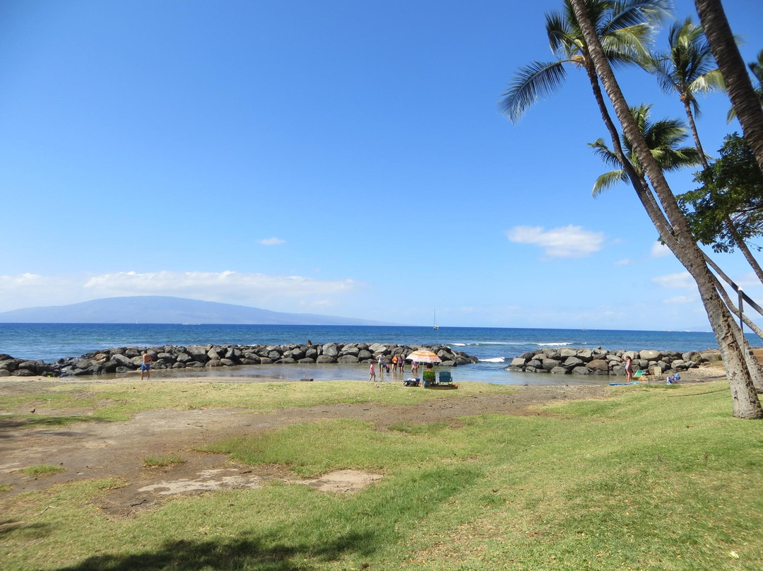 Launiupoko Beach Park景点图片