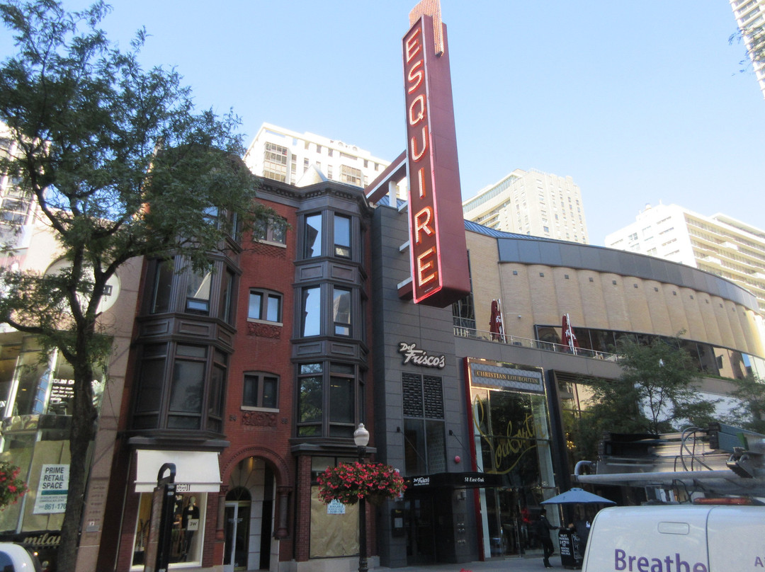 梧桐街-芝加哥必去景点