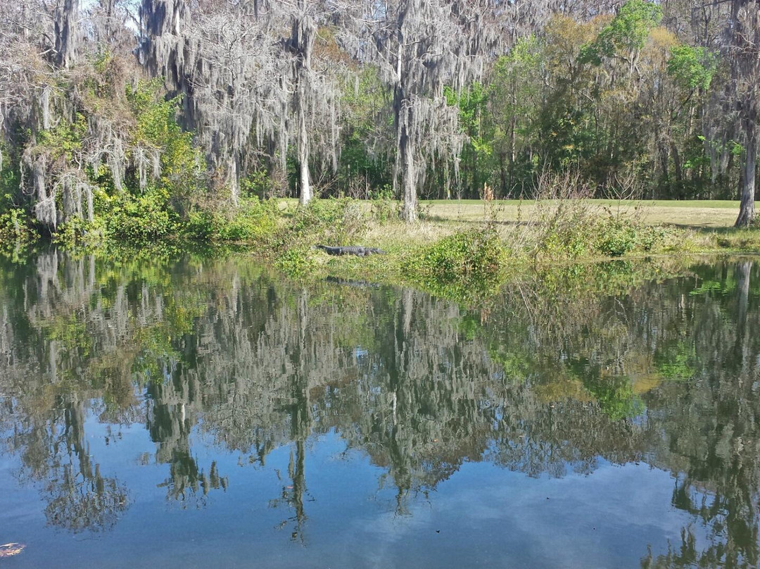 The Claw at USF-坦帕必去景点