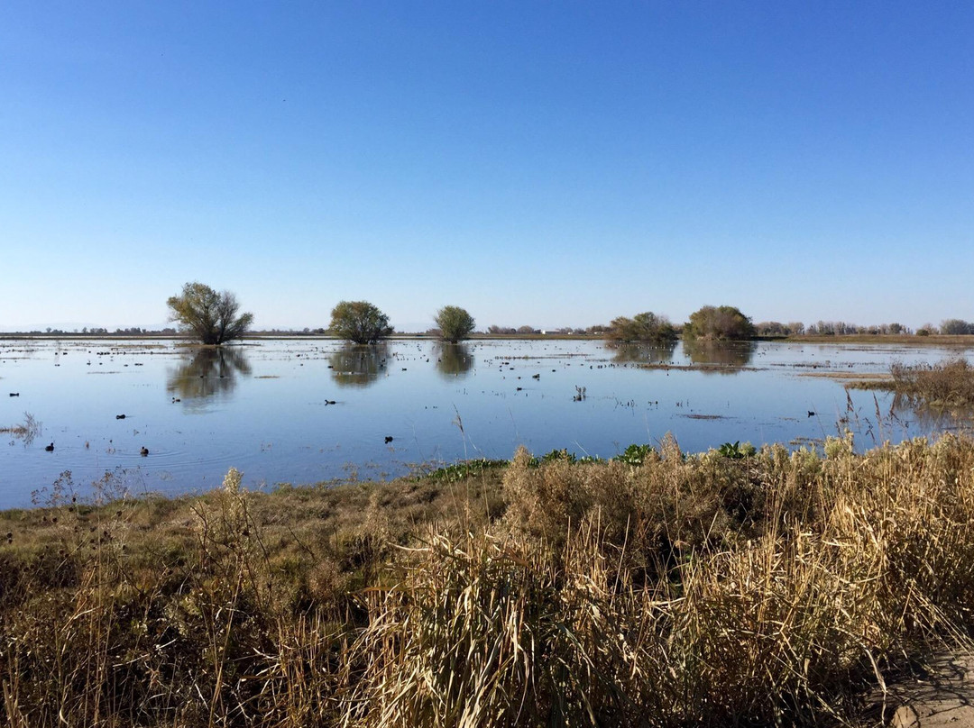 Merced County旅游景点-默塞德国家野生动物保护区