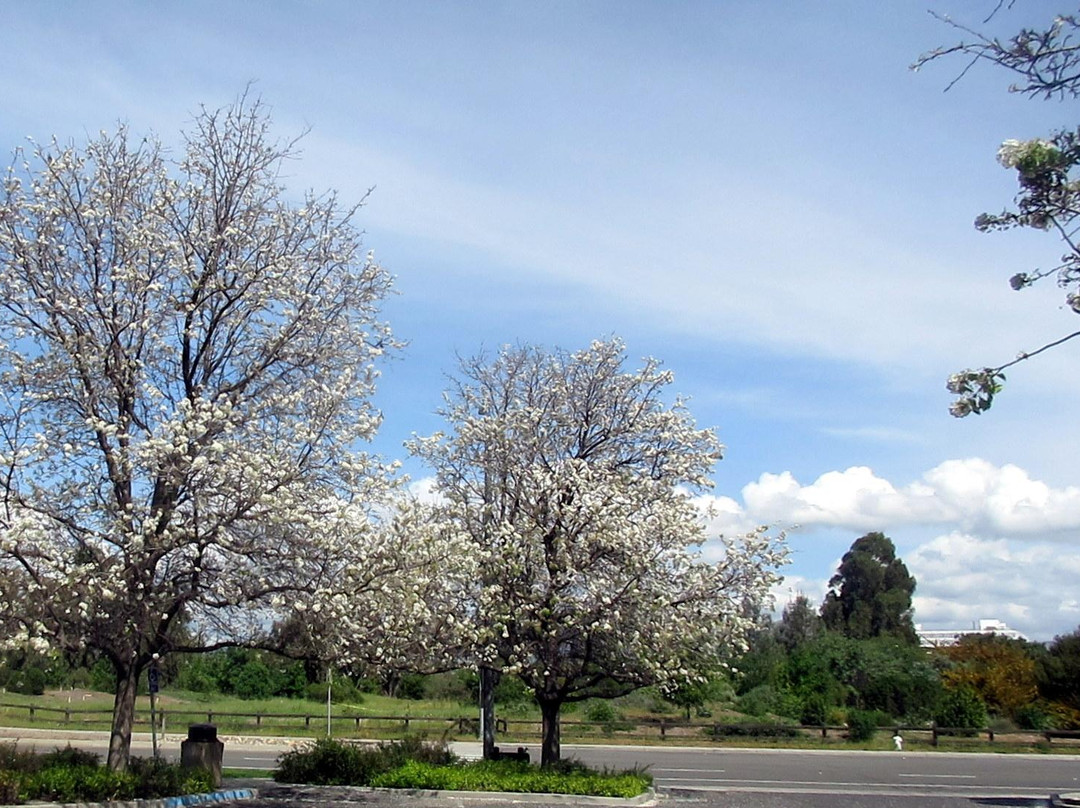 Ulistac Natural Area