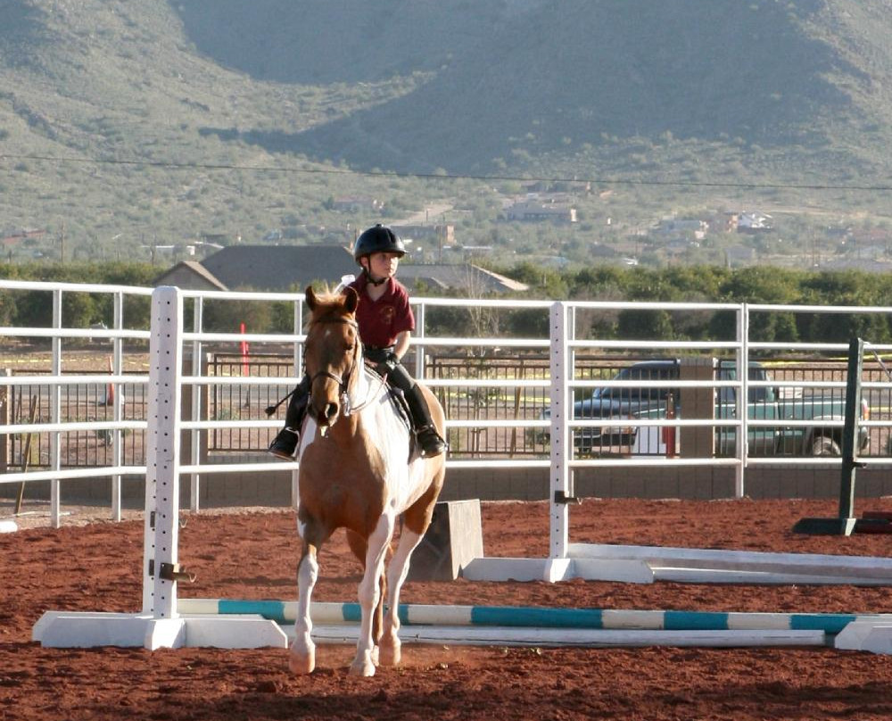 San Tan Valley旅游景点-Horseshoe Park & Equestrian Centre