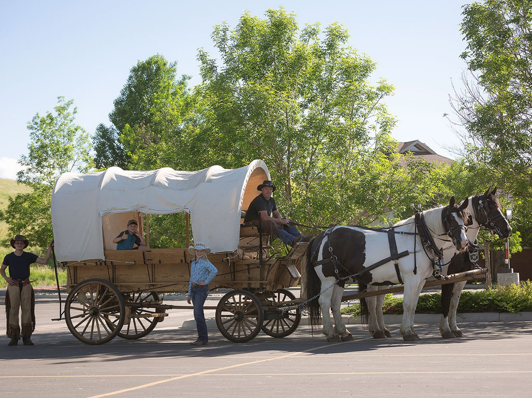 3G Wagon Rides-科迪必去景点