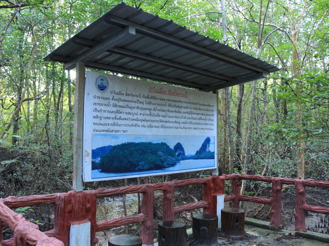 Krabi Urban Forest景点图片