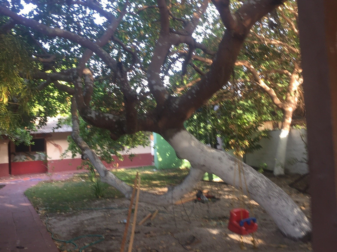 Estrela Sol Hotel主图