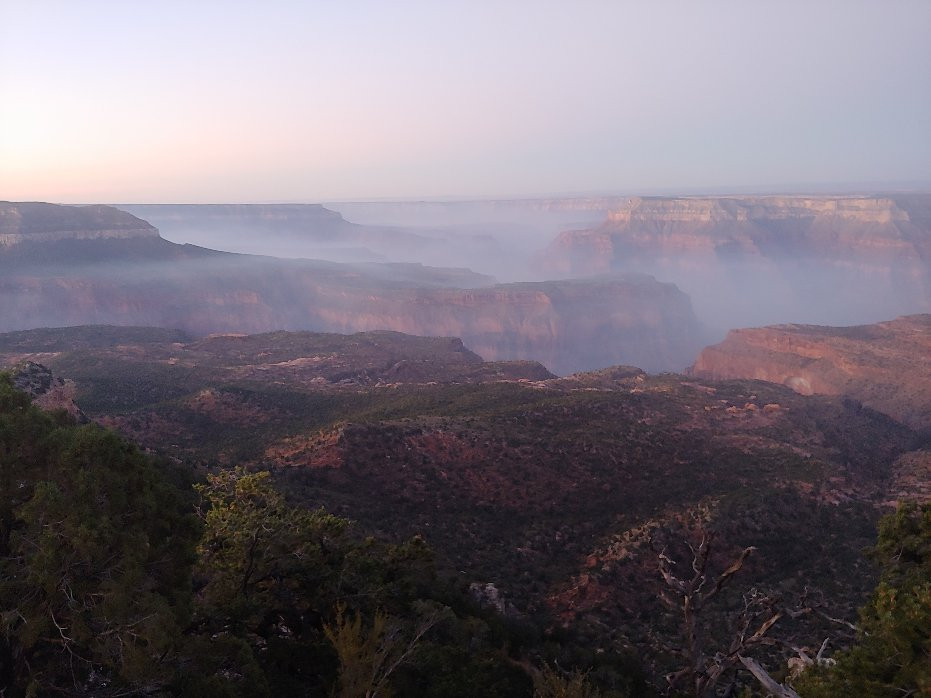 Kaibab National Forest景点图片