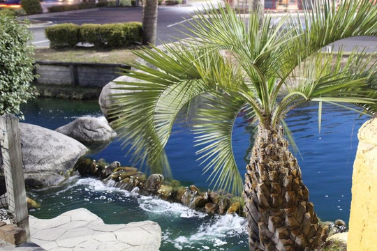 Pirates Watch Adventure Golf-美特尔海滩必去景点