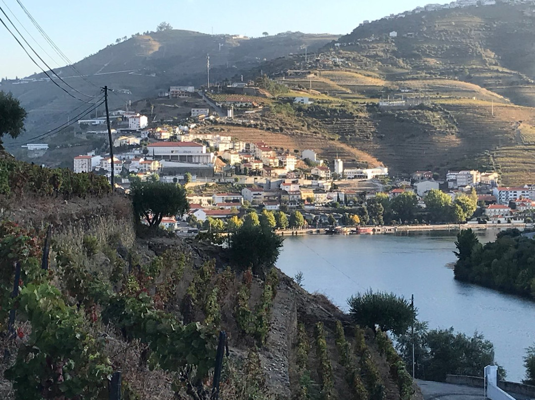 Quinta de la Rosa主图