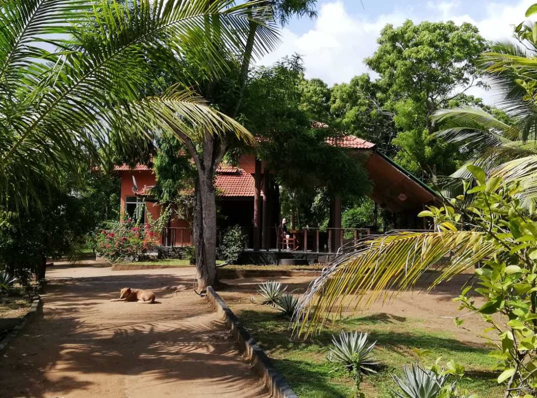 Turtles View Resort主图