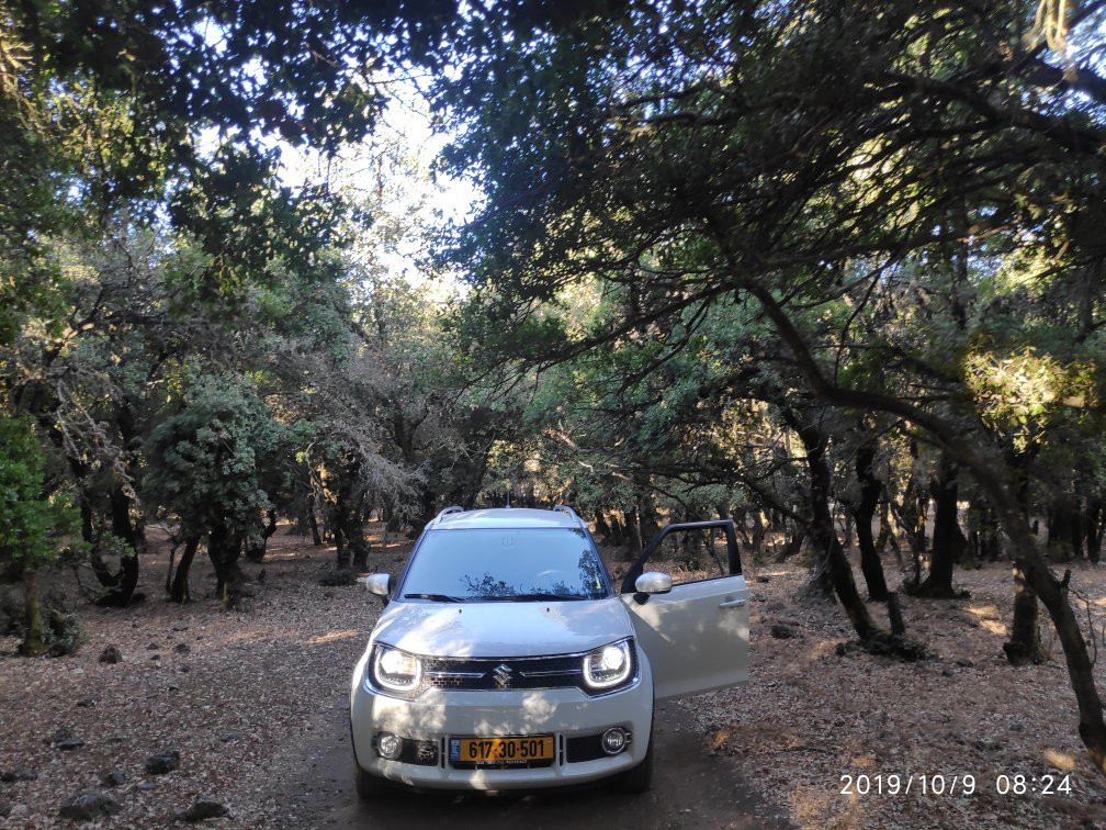 Yaar Haayalim - Deer Forest-Merom Golan必去景点