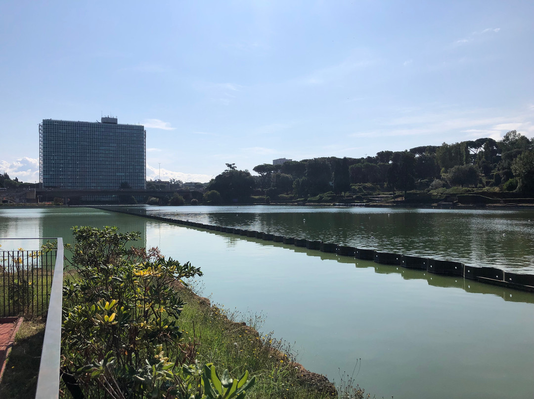 Viale旅游攻略图片