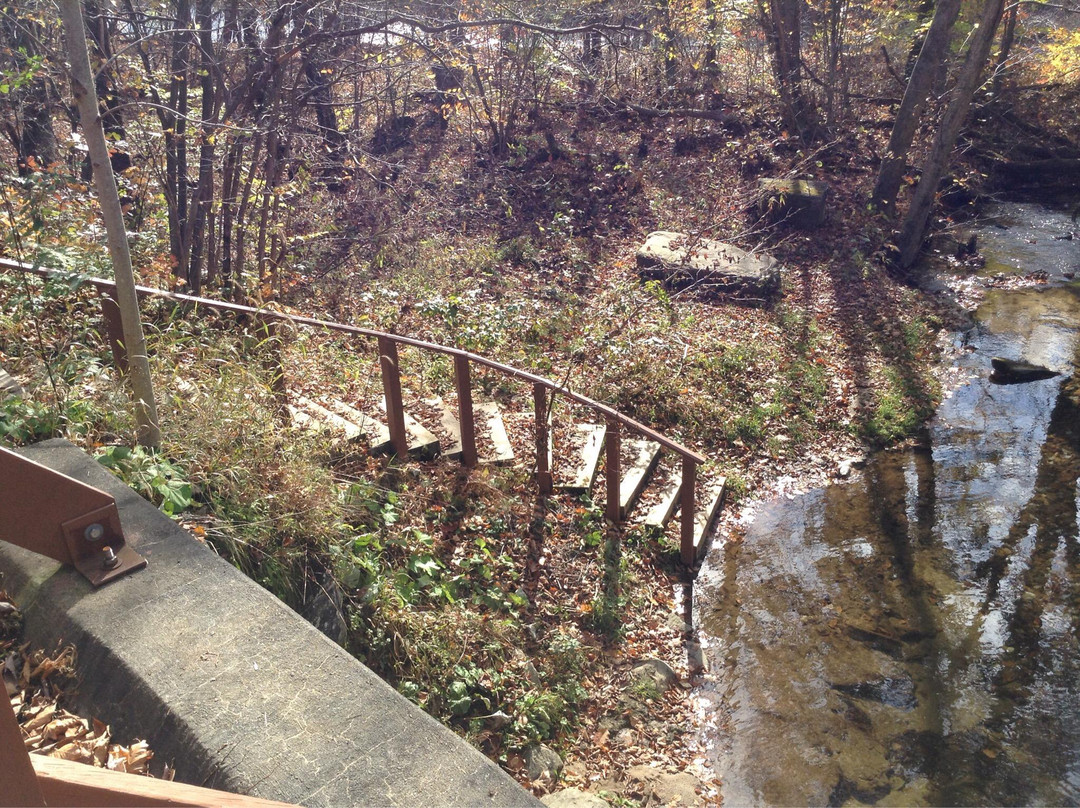 The Clarion/Little Toby Creek Trail景点图片