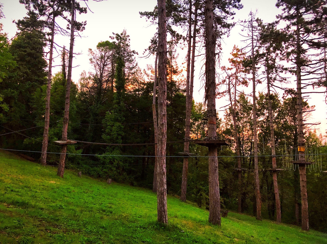 Around Adventures - Parco e Piscina Fratta Terme景点图片