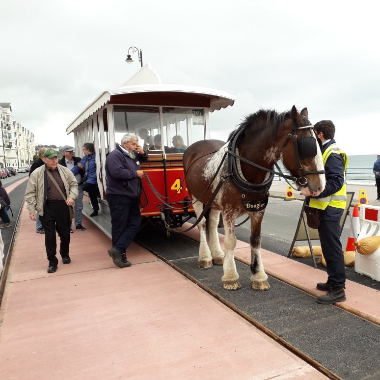 Douglas Bay Horse Tramway景点图片