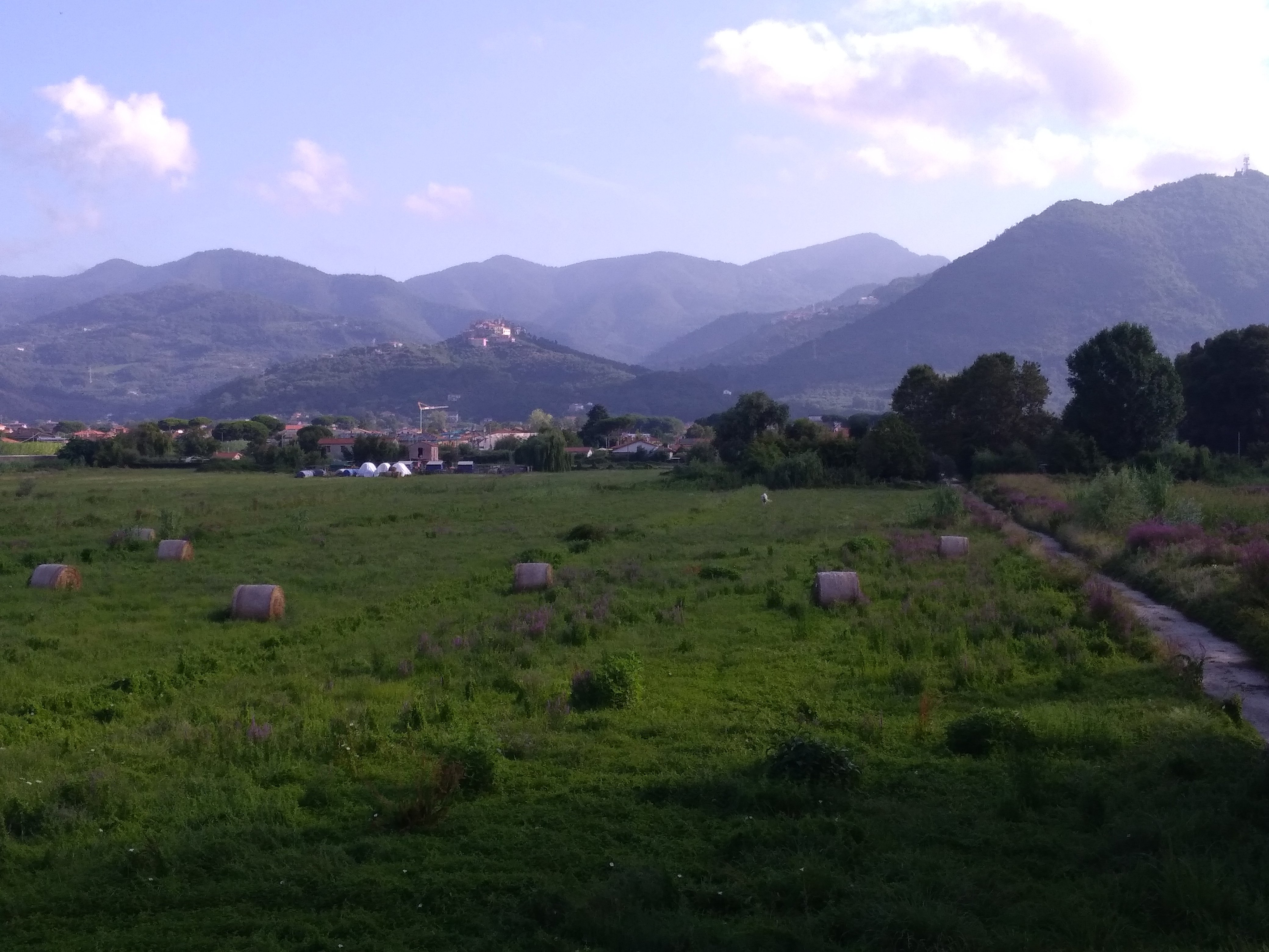 Fattoria Battilana-酒店景观
