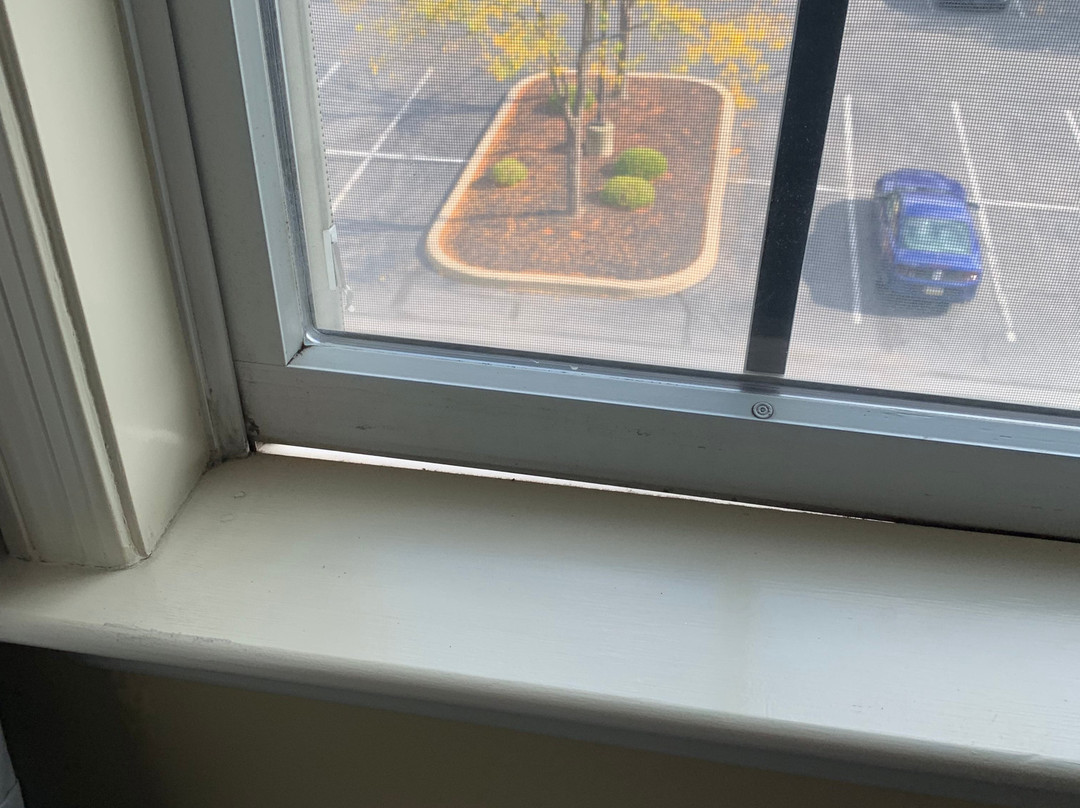 Holiday Inn Express State College @Williamsburg Square by IHG主图