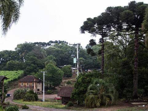 Capela Nossa Senhora Da Saúde