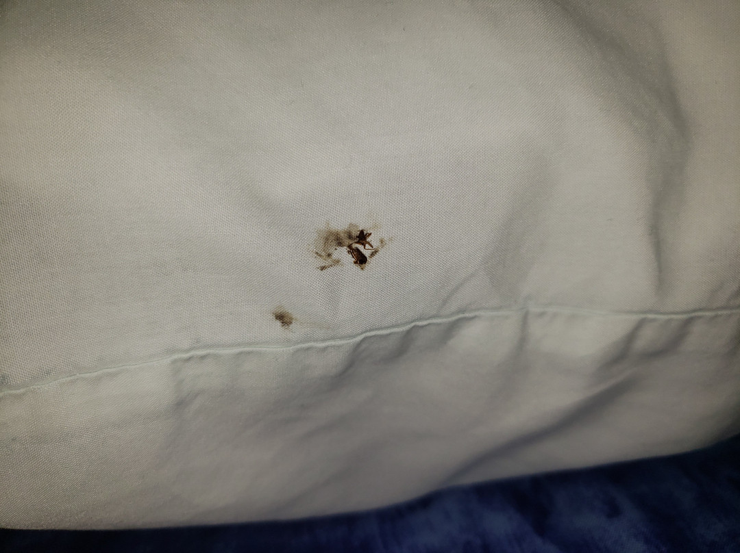 Hotel San Francisco主图